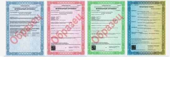 Изменения Ветеринарных правил организации работы по оформлению ветеринарных сопроводительных документов