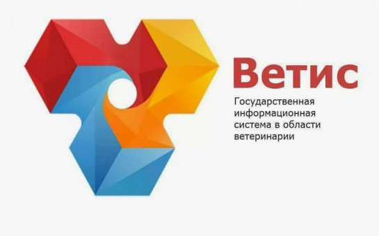 Новый порядок представления информации в ФГИС ВЕТИС